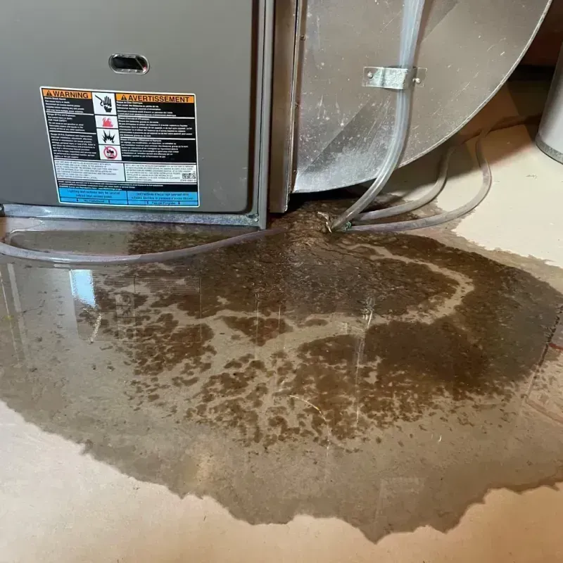 Appliance Leak Cleanup in Elvins, MO